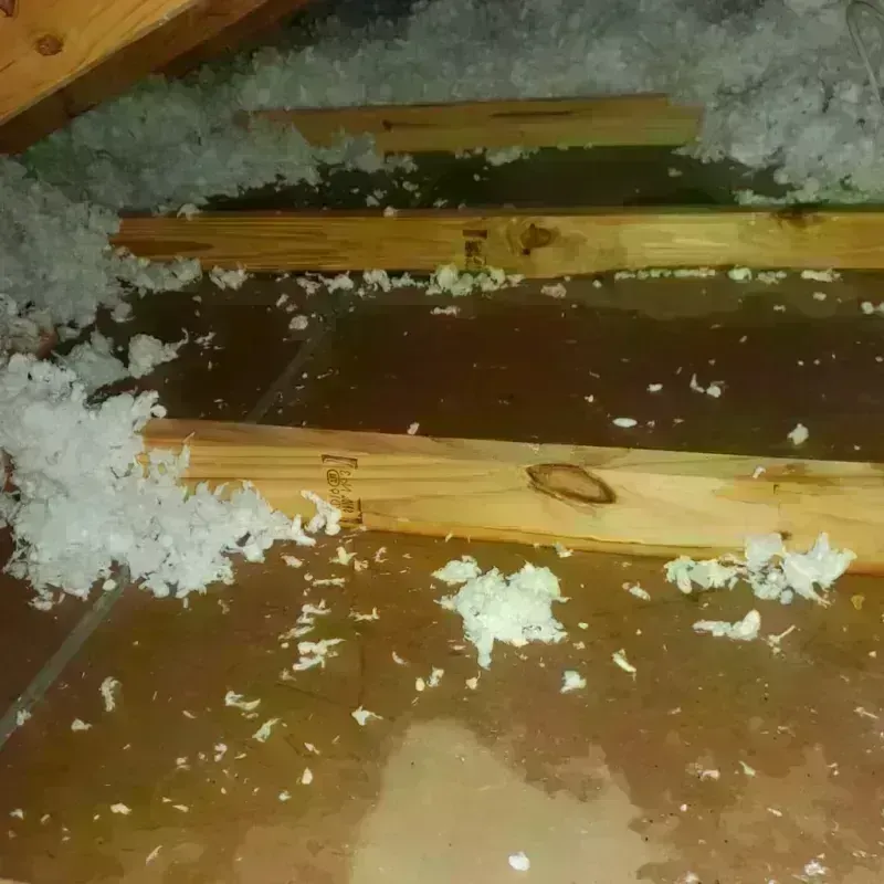 Attic Water Damage in Baltic, CT